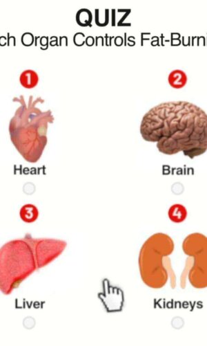 liv pure weight loss,liv pure,liv pure review,liv pure weight loss supplement,cashtly,cashtlystore,cashtlyon,liv pure reviews,