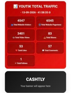 Website report