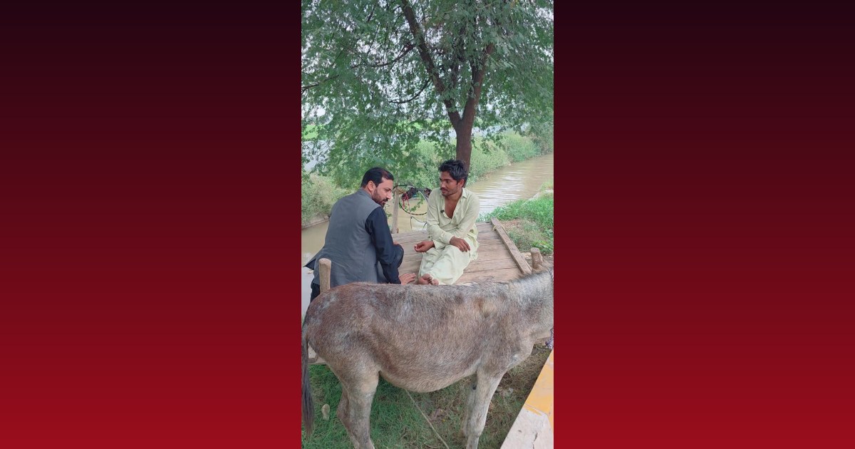 punjabi